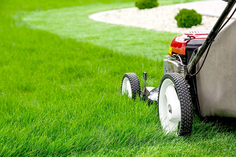 Immagine di un servizio di giardinaggio con un giardino curato
